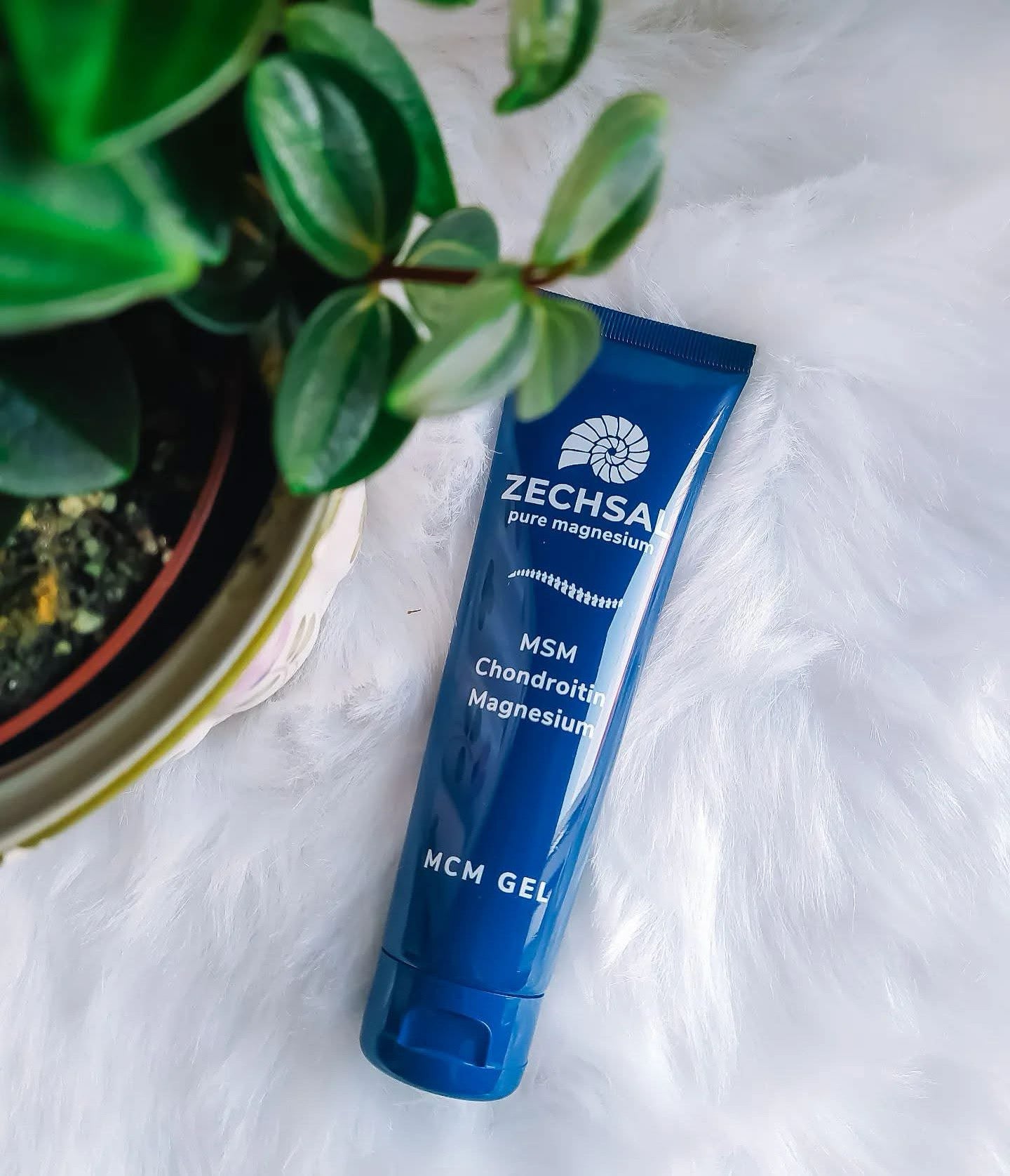 Zechsal MCM gel met MSM, chondroïtine en gember- speciaal voor gewrichtsklachten - 100ml