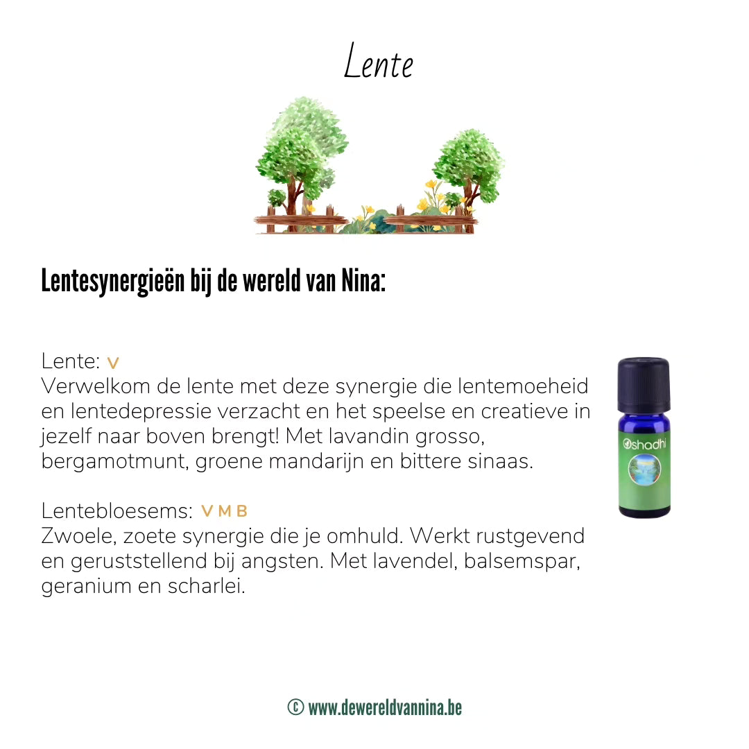 Lente - synergie etherische olie - Oshadhi - 10ml