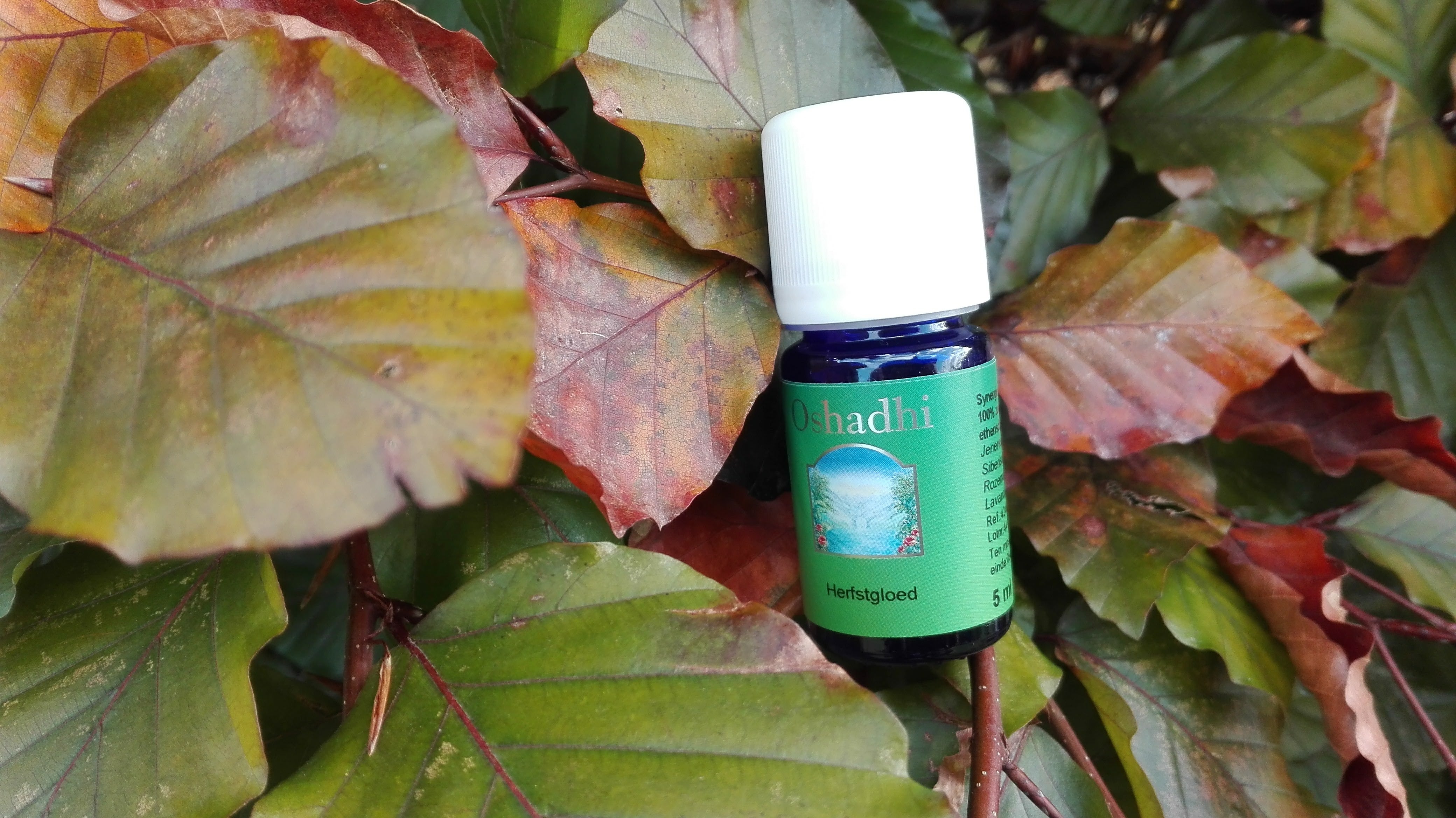 Herfstgloed - synergie etherische olie - Oshadhi - 10ml