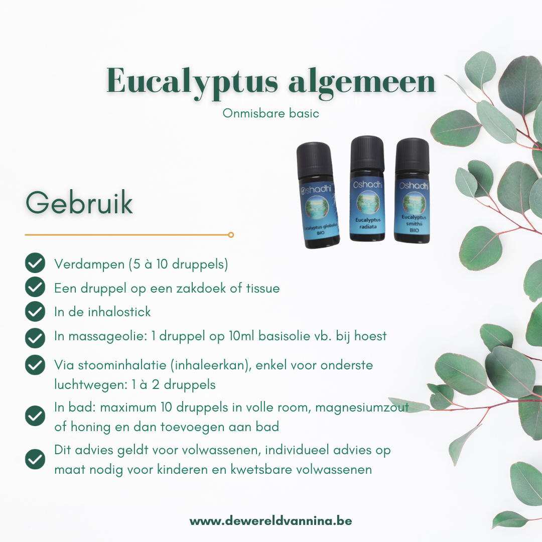 Eucalyptus smithii bio Oshadhi - zachte eucalyptussoort voor kinderen - 10ml