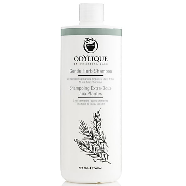 Familieformaat tea tree & herbal shampoo Odylique - tegen roos 500ml