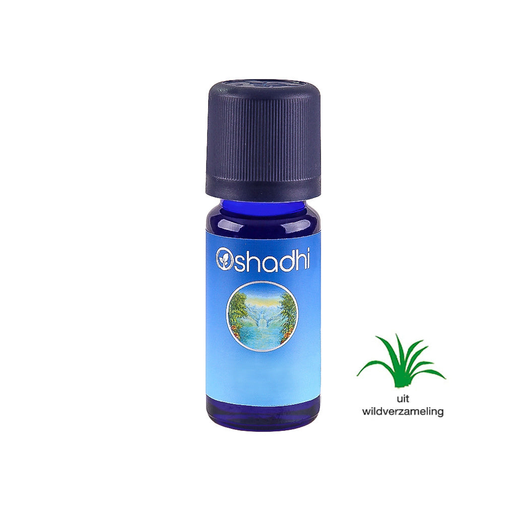 Citroeneucalyptus Oshadhi - insectenverdrijver - 10ml