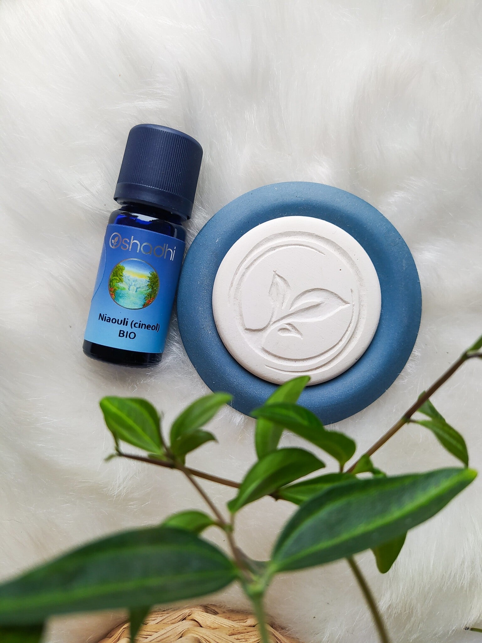 Niaouli BIO essentiële olie Oshadhi - kalmerend en verhelderend - 10ml