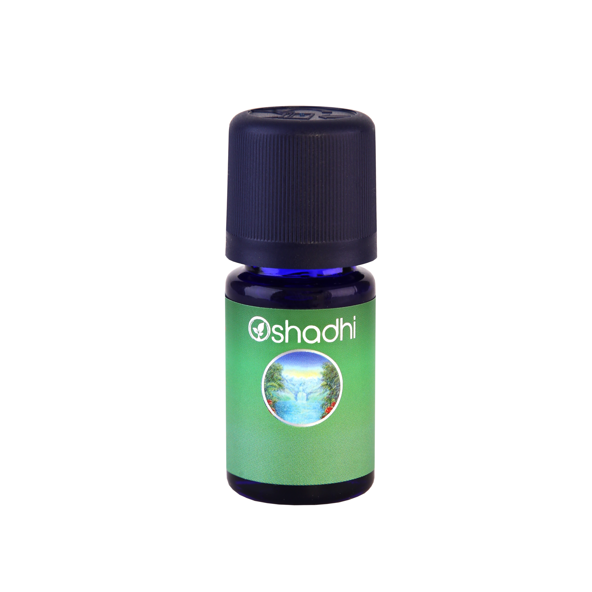 5ml_SYN (1)
