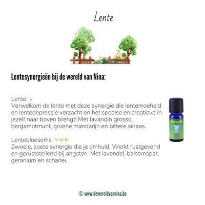 Lente - synergie etherische olie - Oshadhi - 10ml