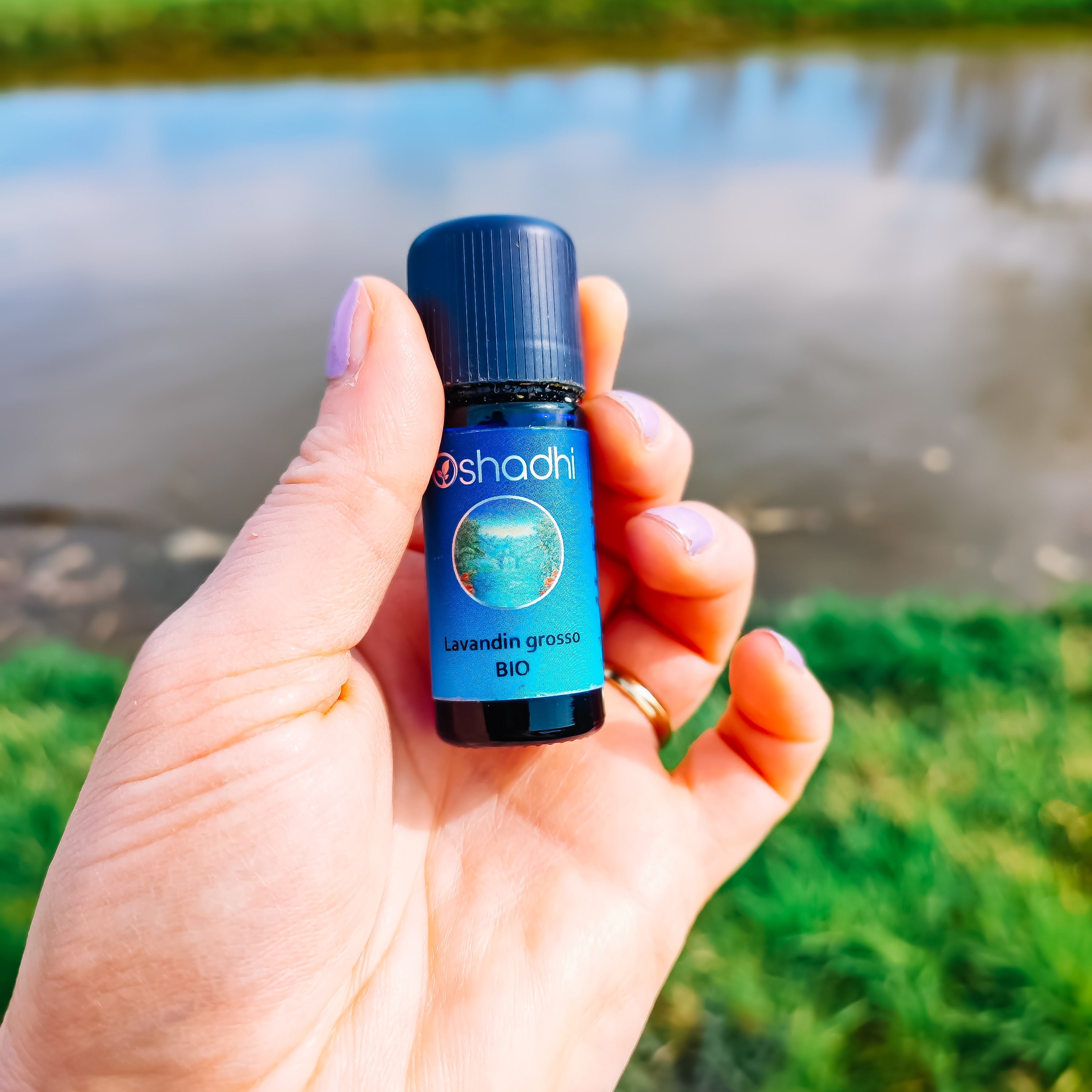 Lavandin grosso - etherische olie - Oshadhi - 10ml