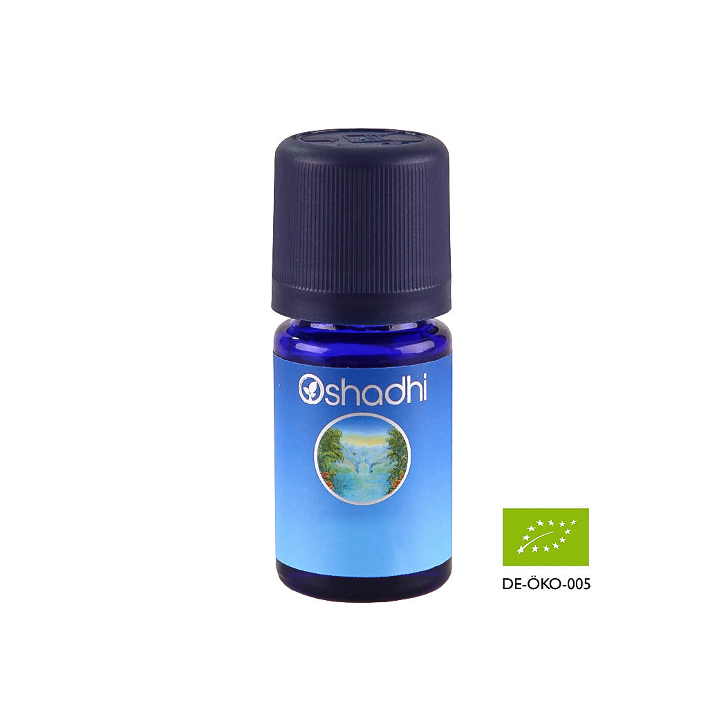 Estragon (dragon) etherische olie - Oshadhi - 5ml