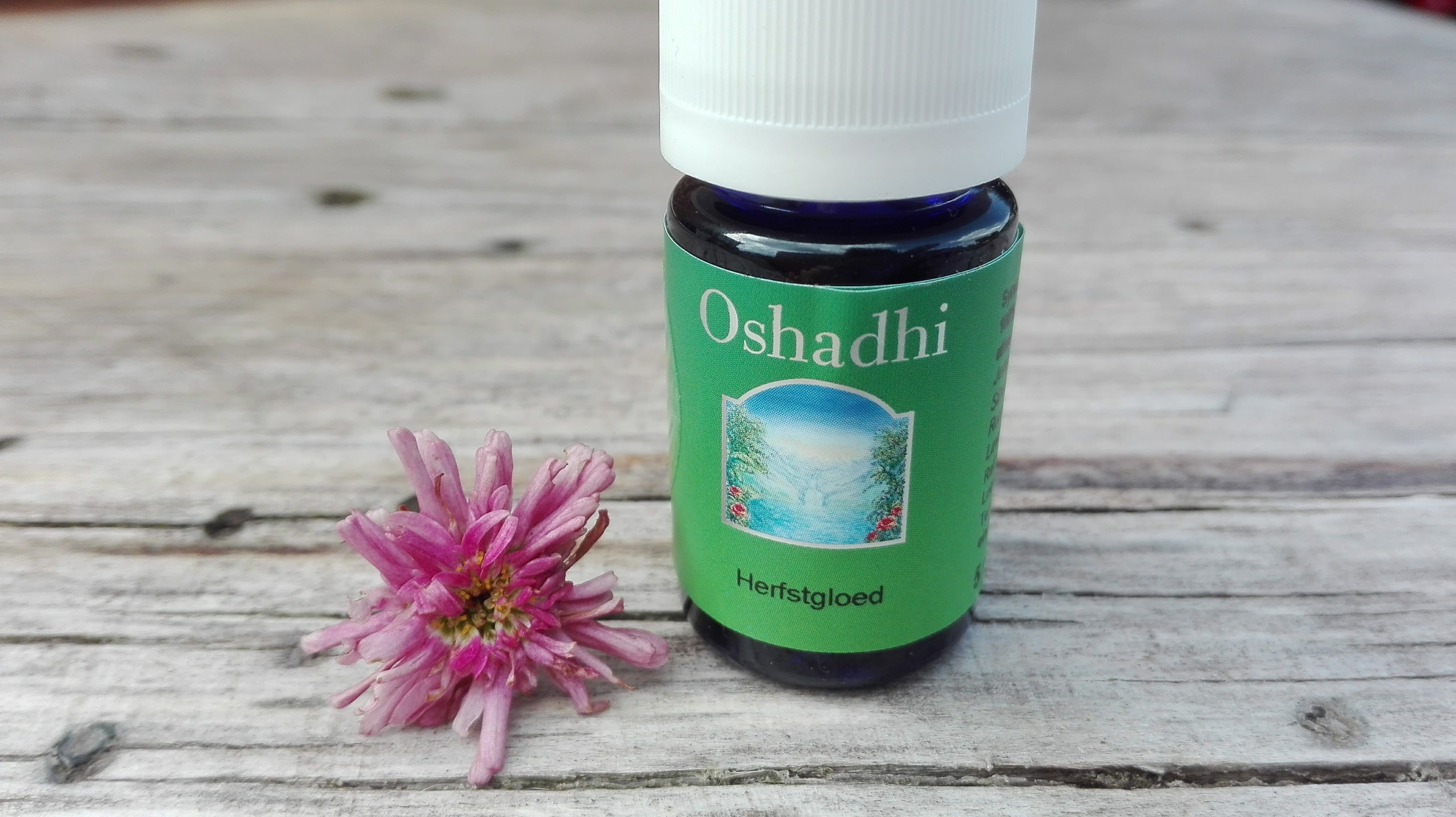 Herfstgloed - synergie etherische olie - Oshadhi - 10ml