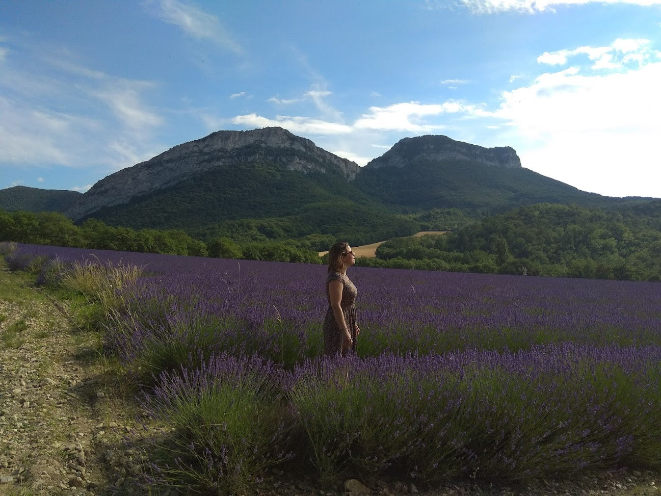 Lavendel Hoogland - etherische olie - Oshadhi - 10ml