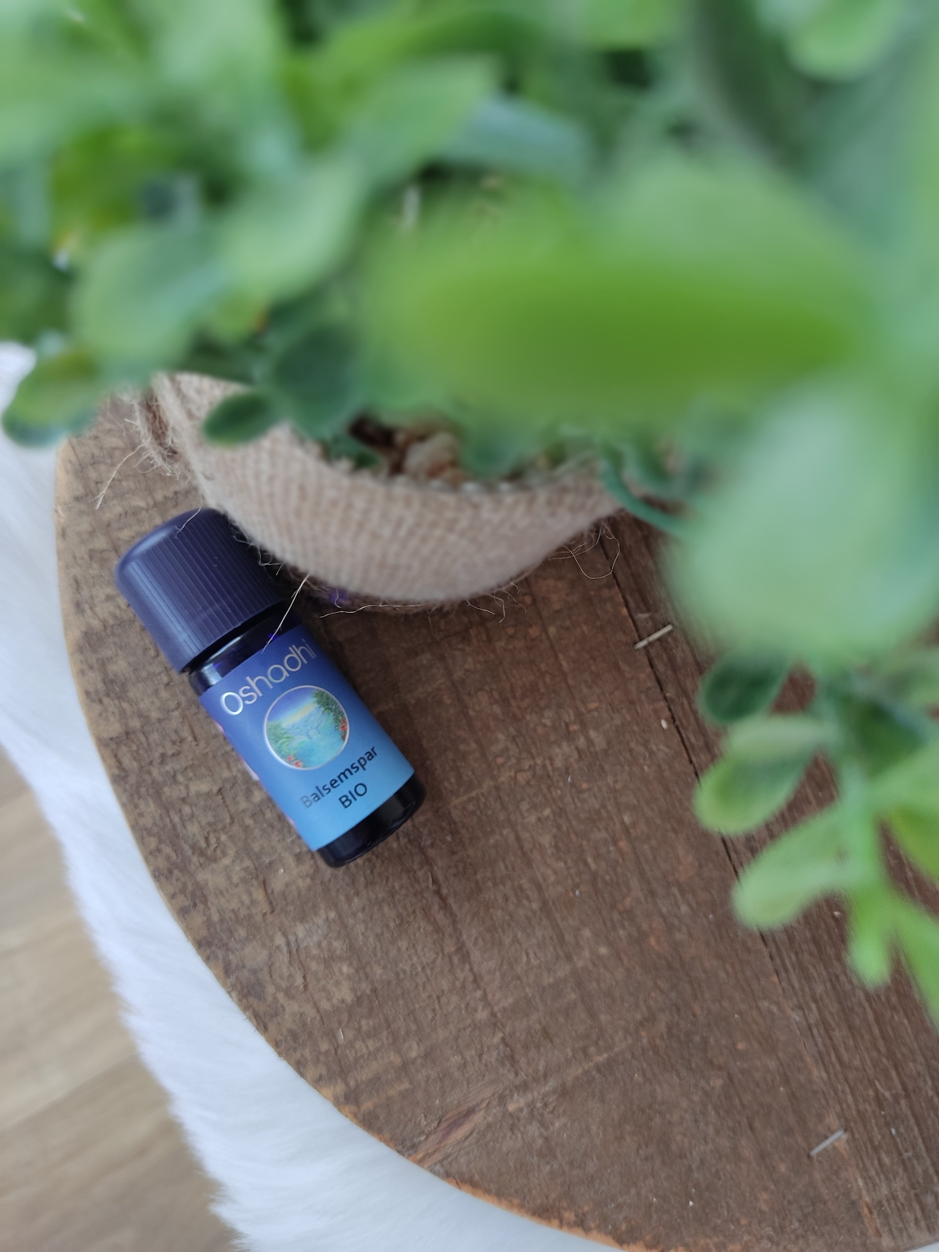 Balsemspar etherische olie - Oshadhi - 10ml