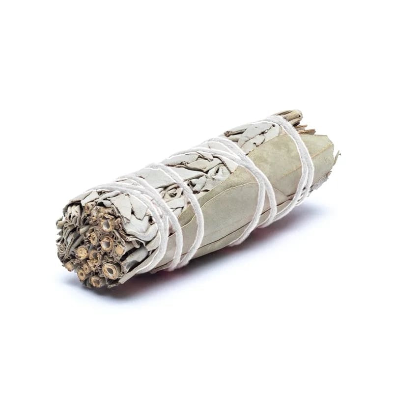 Witte salie smudgestick met eucalyptus