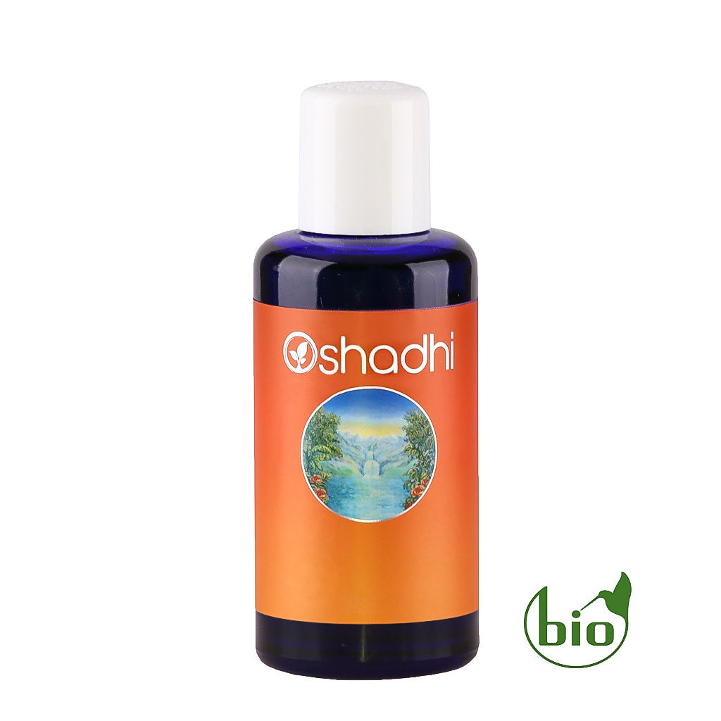 Ricinusolie / castorolie - Ricinus communis Seed Oil - 100ml