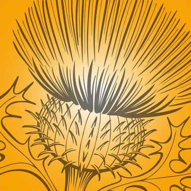 Voice confidence druppels - Findhorn