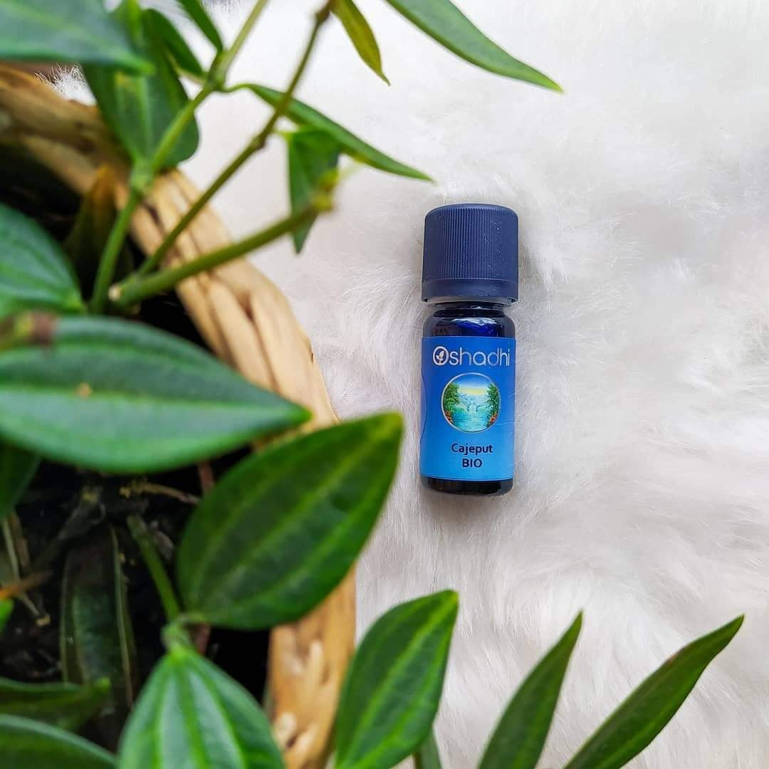 Cajeput BIO Oshadhi - rust in de chaos - 10ml