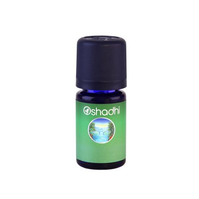Synergie Christmas Star Oshadhi - een warme Kerst - 5ml