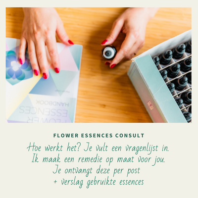 Flower Essences consult online - een remedie op jouw maat