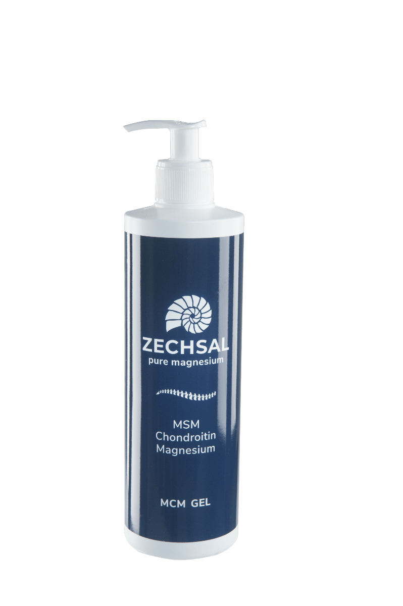 Groot formaat Zechsal MCM gel met MSM, chondroïtine en gember- speciaal voor gewrichtsklachten -500 ml