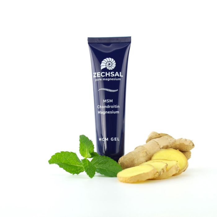 Zechsal MCM gel met MSM, chondroïtine en gember- speciaal voor gewrichtsklachten - 100ml